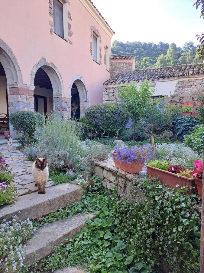 B&B S'Omu Antiga Nureci Luaran gambar