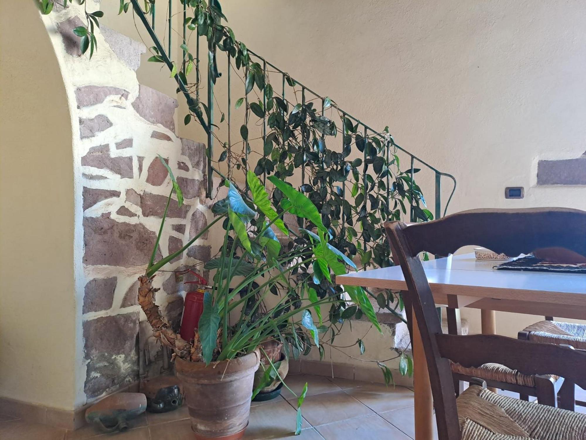 B&B S'Omu Antiga Nureci Luaran gambar